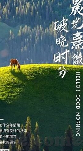 捷报篮球比分网足球比分-捷报篮球比分网足球比分，体育迷的实时数据宝藏库
